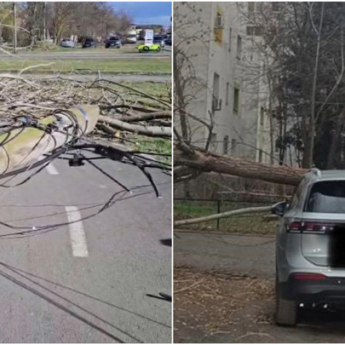 Vremea extremă lovește România, coduri roșii și pierderi de vieți omenești