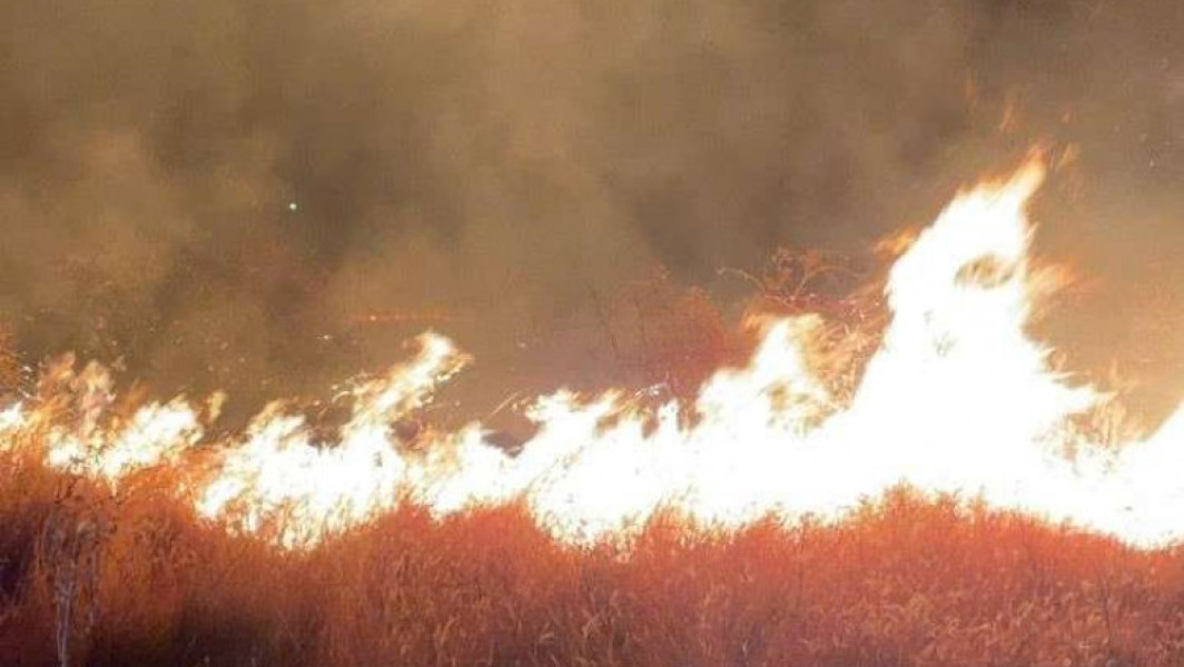 Incendiu de vegetație lângă Ploiești se extinde pe 80 de hectare, generând fum dens