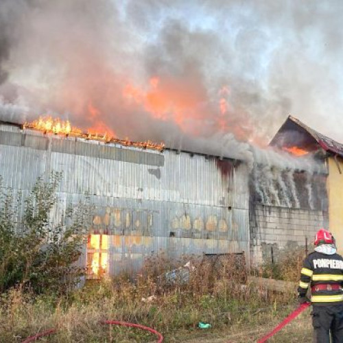 Incendiu puternic în comuna Iordăcheanu, acoperind o locuință și un depozit