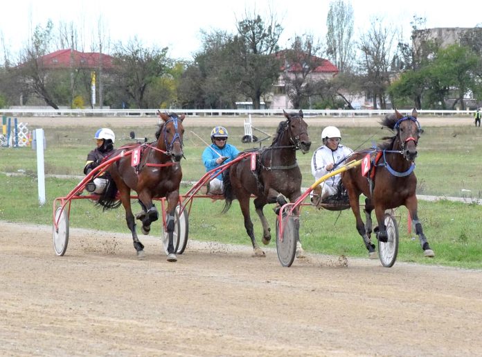Indigo câștigă Premiul Agriculturii la Hipodromul Ploiești