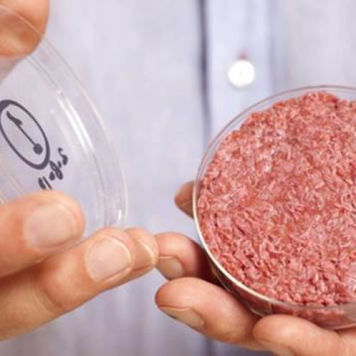 Tot mai mulți europeni sunt deschiși să încerce alimente produse prin biotehnologie