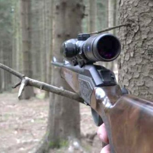 Peste 2.700 de arme și 330.000 de cartușe confiscate în primele nouă luni din 2025