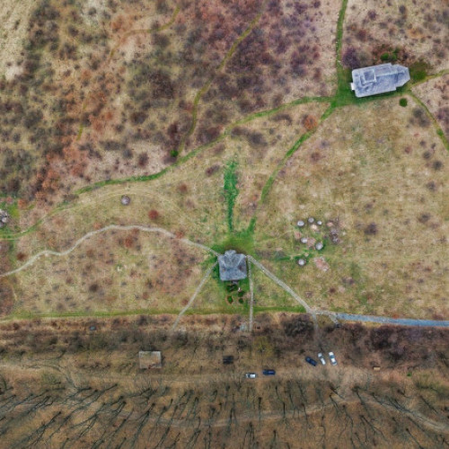 Fragmentele pădurii Codrii Vlăsiei vor face parte din Centura Verde a Capitalei