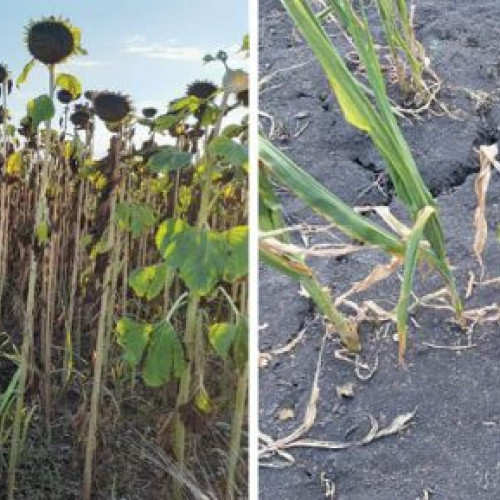 Un nou proiect urbanistic schimbă fața centrului orașului Prahova