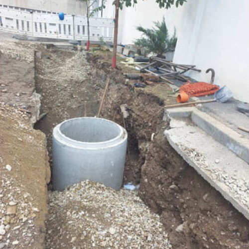 Autorul N. Dumitrescu, prezent la evenimente culturale importante